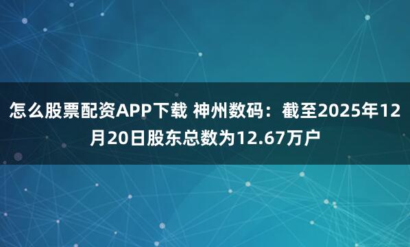 怎么股票配资APP下载 神州数码：截至2025年12月20日股东总数为12.67万户