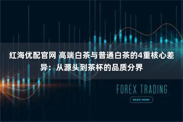 红海优配官网 高端白茶与普通白茶的4重核心差异：从源头到茶杯的品质分界